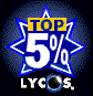 Point/Lycos Top5%
