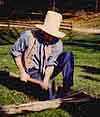 pounding an ash log to remove splints