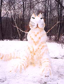 Snow Cat