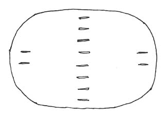 Leather Oval With Slits