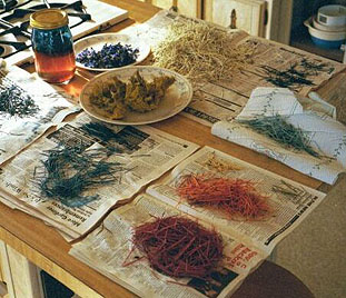 DYEING QUILLS IN THE KITCHEN