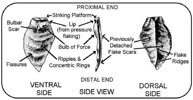 Flake Terminology