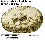prehistoric pitted stone for cracking nut shells