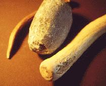 Hammer Stone and Antler tools